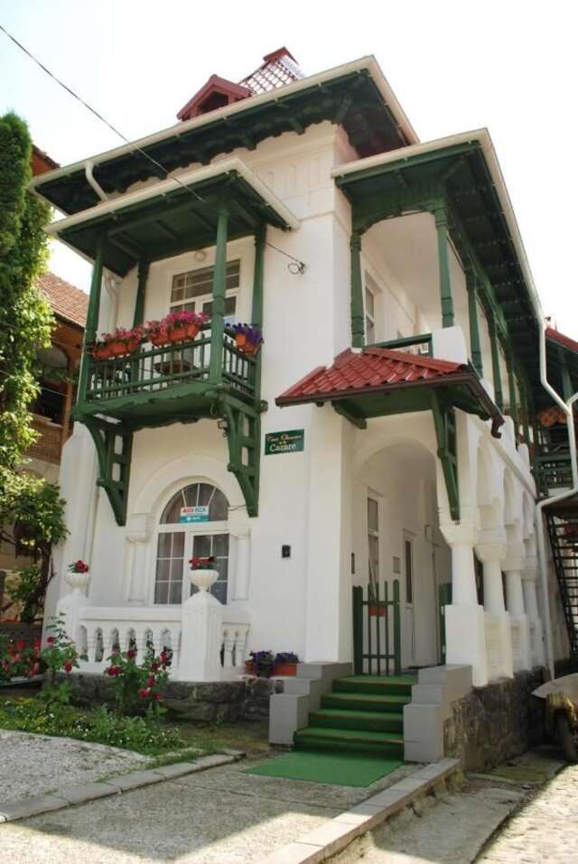 Гостевой дом Casa Olanescu Бэи­ле-Олэ­неш­ти-18